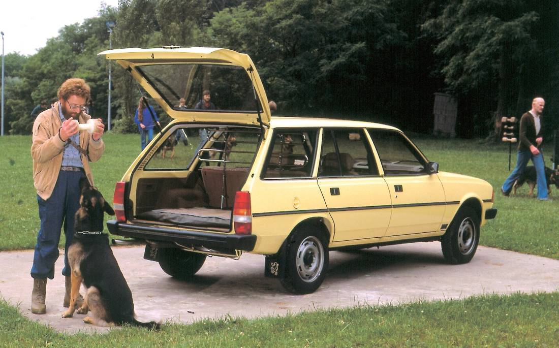 peugeot-305-back