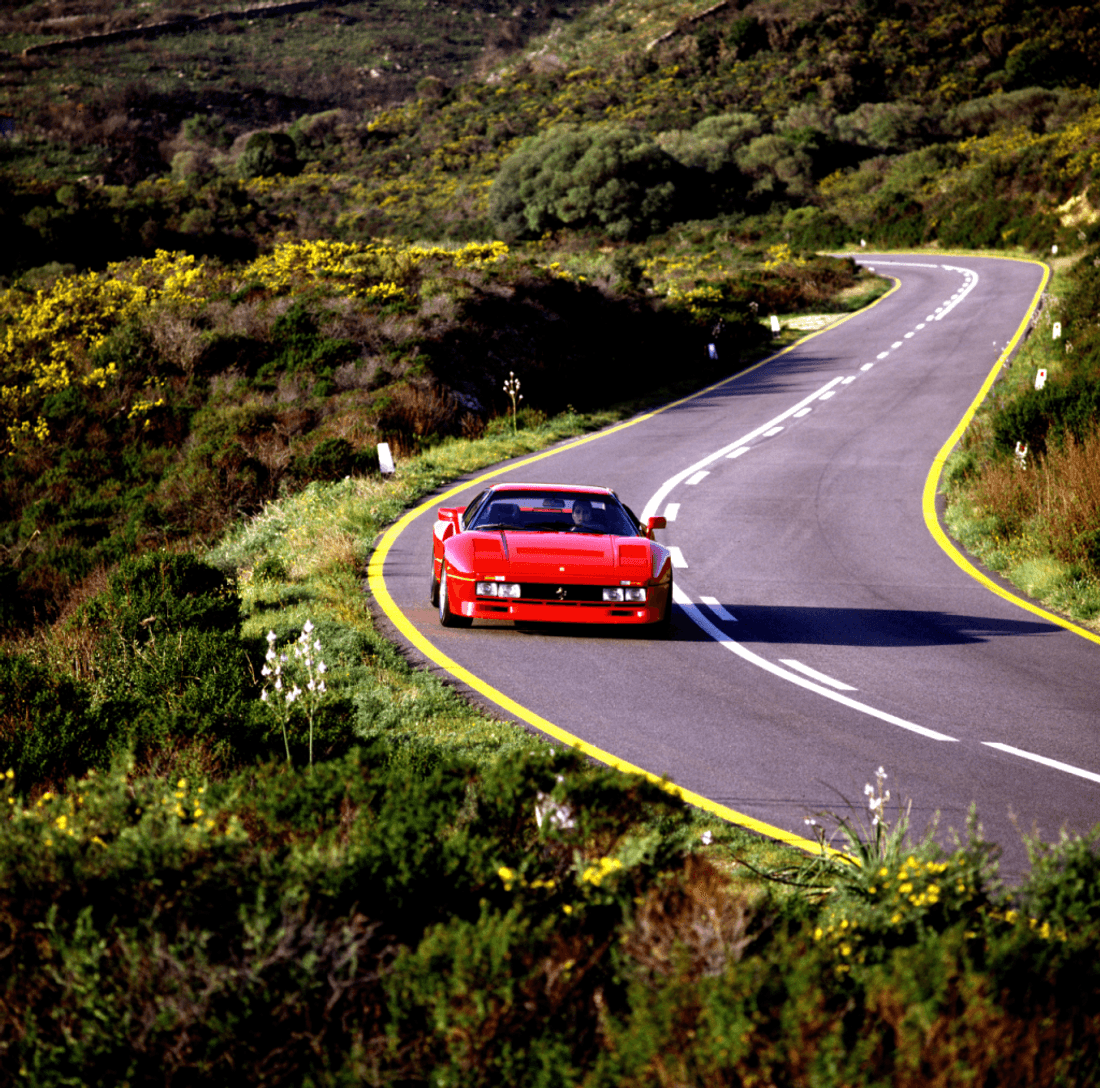 Ferrari GTO 08