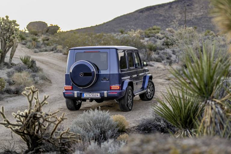 newg-class202469