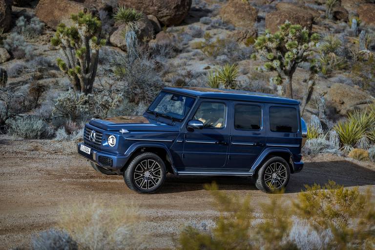 newg-class202463